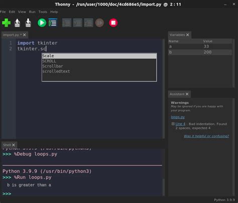 Thonny Python 的图像结果