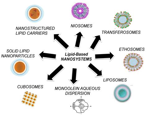 Lipid-Based Nanosystems as a Tool to Overcome Skin Barrier
