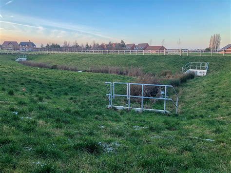 Image result for Compensatory Storage