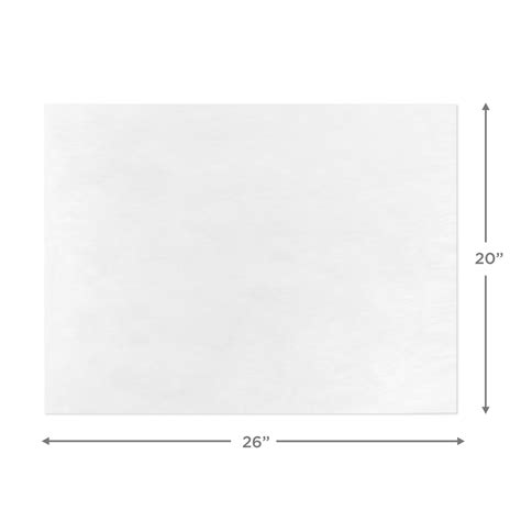 White Tissue Paper, 10 sheets - Tissue | Hallmark