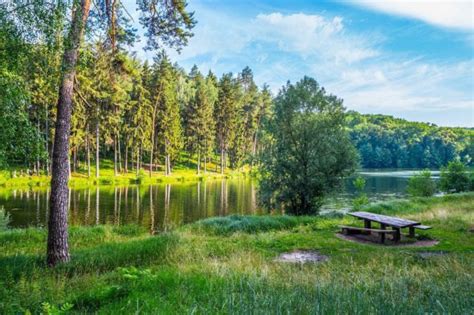 Экскурсия в Тростянец: дендропарк, замок Голицына, старинные усадьбы ...