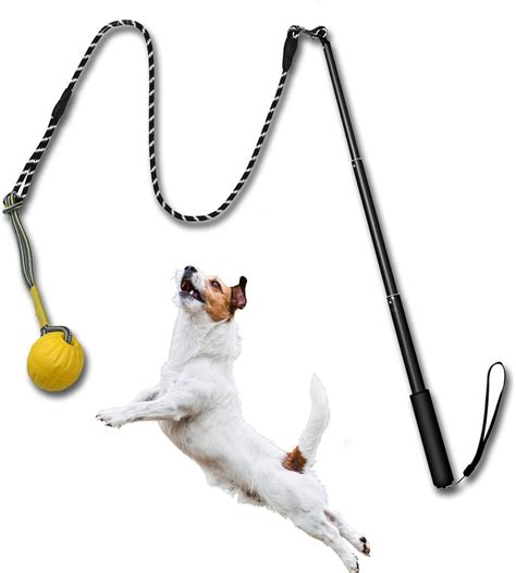 Dog Flirt Pole Extendable Teaser Wand with Interactive Dogs Ball ...
