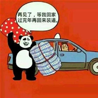 带猪回家的图片大全大猪的照片图片大全2022已更新今日推荐