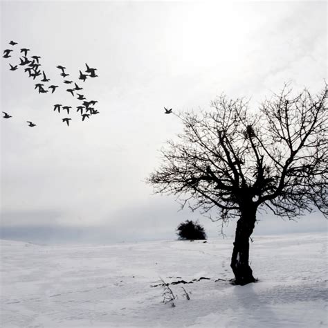 Photography Tutorials & Tips - Shutterstock India Blog Archives