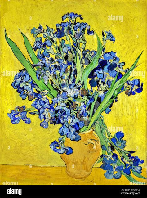 Irises 1890 (Painting) by Artist Gogh, Vincent van (1853-90) Dutch Stock Vector Image & Art - Alamy