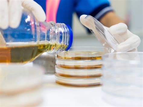 Image result for Total Plate Count Method Animation