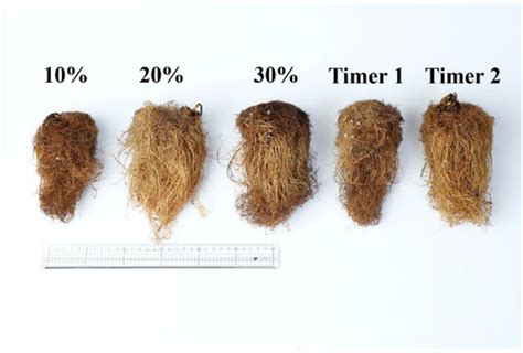 Growth and Quality of Strawberry (Fragaria ananassa Dutch. cvs ...