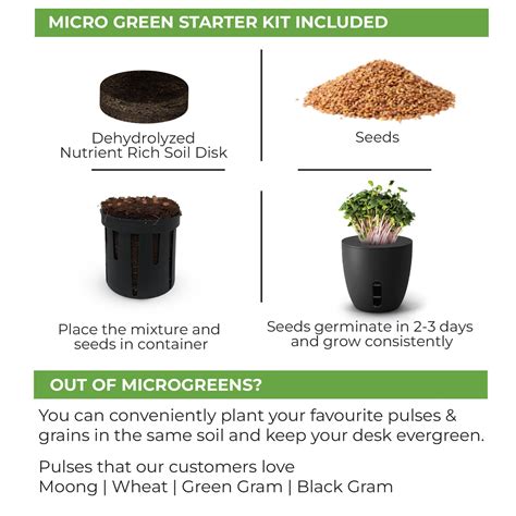 Terra - Self Watering Plant Pot – Everyday Organisers