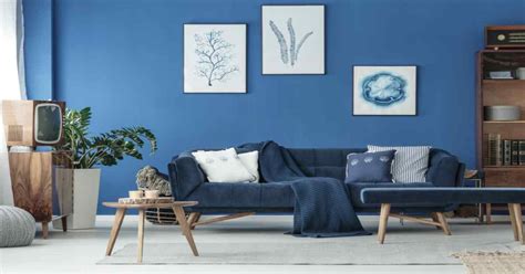 Blue Colour Wall Paint Design Ideas to Elevate Your Space | Expert Tips