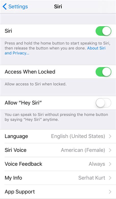 Image result for Siri Setup