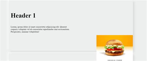 How to Change Image Position in CSS 的图像结果