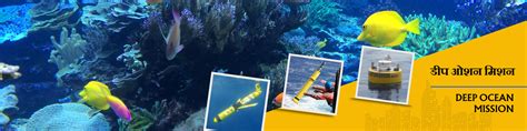 Indian National Centre for Ocean Information Services (INCOIS)