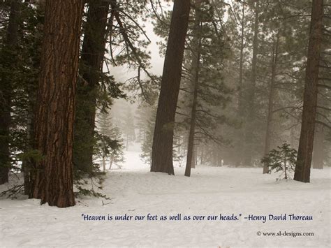 quotes of nature in frankenstein
