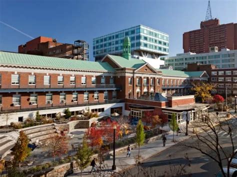 Moses MMC | The Saul R. Korey Department of Neurology | Albert Einstein ...