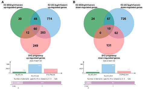 Estradiol-17β-Induced Changes in the Porcine Endometrial Transcriptome ...