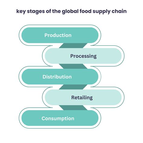 Global Food Chain: How Your Plate is Connected to World