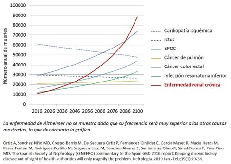 La enfermedad renal podría convertirse en la segunda causa de muerte en ...