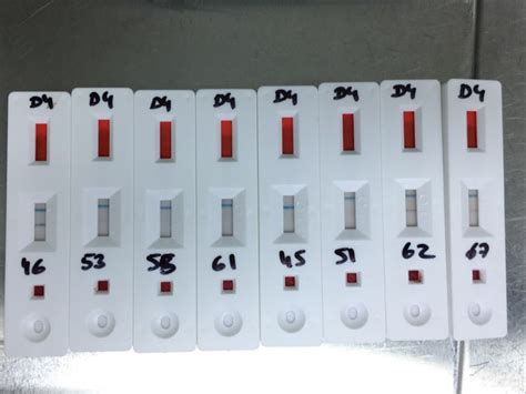 Image result for ASF Testing