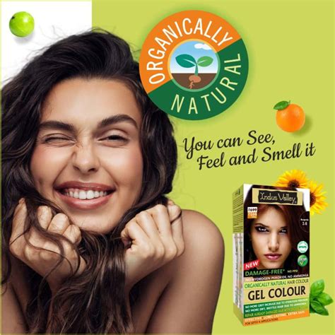 Buy INDUS VALLEY ORGANICALLY NATURAL DAMAGE FREE GEL HAIR COLOR ...