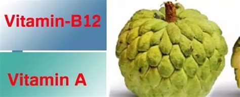 சீத்தாப்பழம்