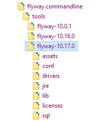 Image result for Flyway Tutorial