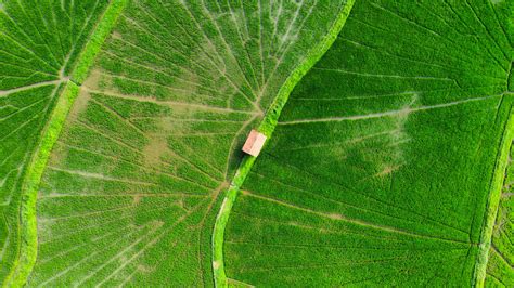 Nature Slideshow 的图像结果