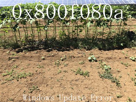 Image result for Error Code 0X800f080a