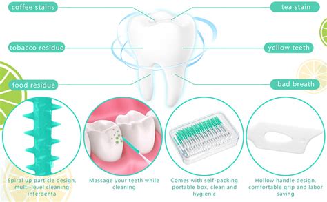 SHIVAMAX Disposable Interdental Brush Toothpick Dental Tooth Cleaning ...