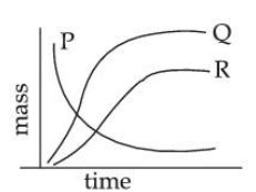 A radioactive material P first decays into Q and then Q decays to non ...