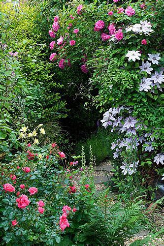 Small Cottage Gardens 的图像结果