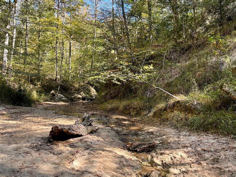 PACK & PADDLE (2026) All You Need to Know BEFORE You Go (with Photos ...