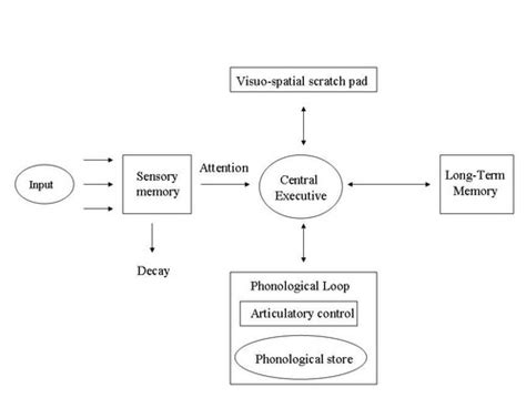 Image result for Working Memory Model