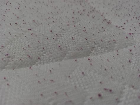 Bed bugs droppings? : r/Bedbugs