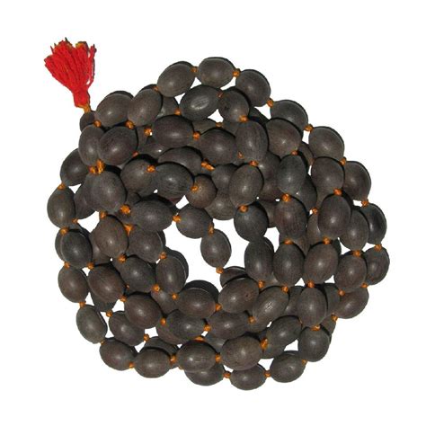 Astrodidi Kamal Gatta/Lotus Seeds Mala for Lakshmi Puja : Amazon.in