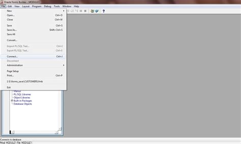 11G Form Oracle Tutorial 的图像结果