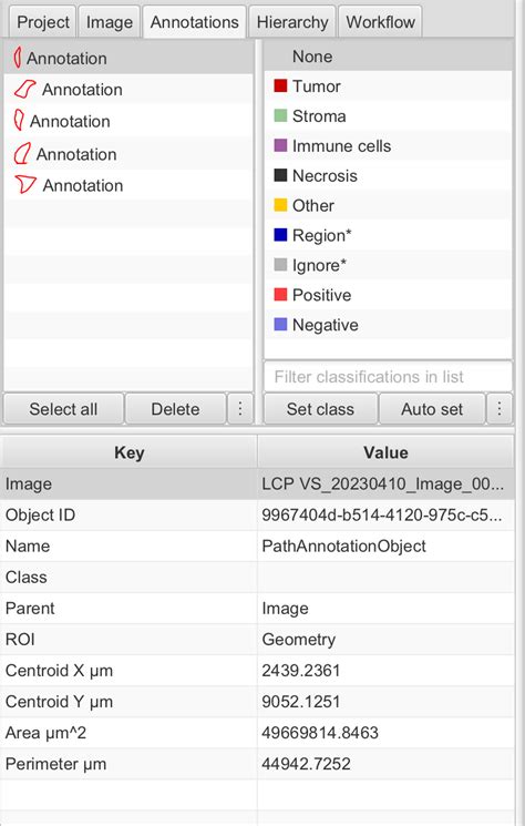 Image result for QuPath Basics