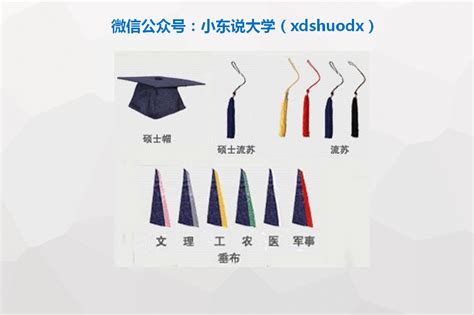 【毕业•影像】图解：学位服应该这么穿-武汉大学新闻网
