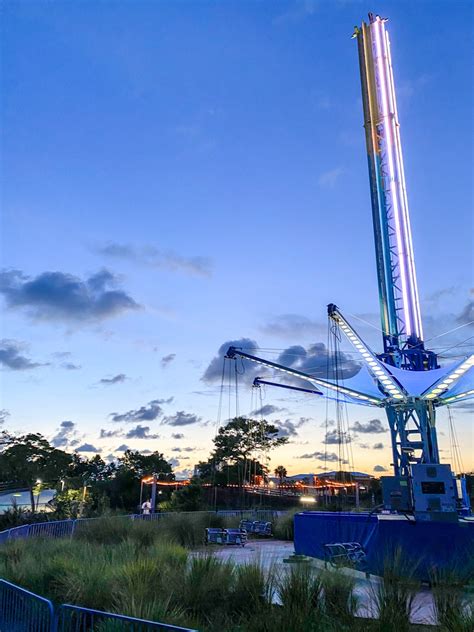 Home » Swampy Jack's Wongo Adventure