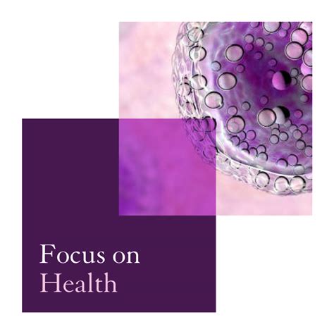 Image result for Types of Visual Framework