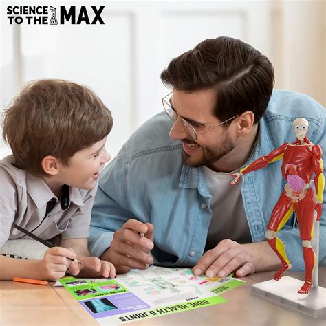 Be Amazing! Toys Interactive Human Body Anatomy Figure Kit - 60 Piece ...
