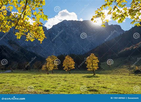 Image result for Simple CNN Example