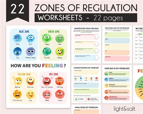 The Zones Of Regulation