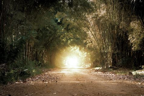 Timeless Lesson from the Book of Job - Two Journeys