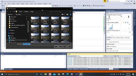 Visual Basic OpenFileDialog 的图像结果