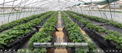 Vr农业 的图像结果