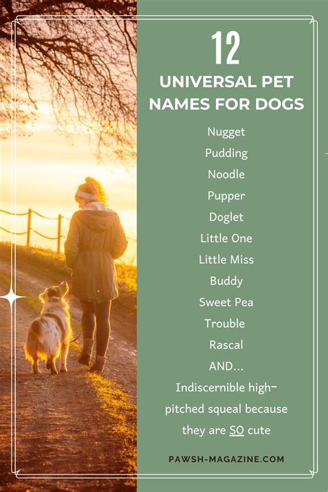 Funny Nicknames For Dogs at Emily Armytage blog