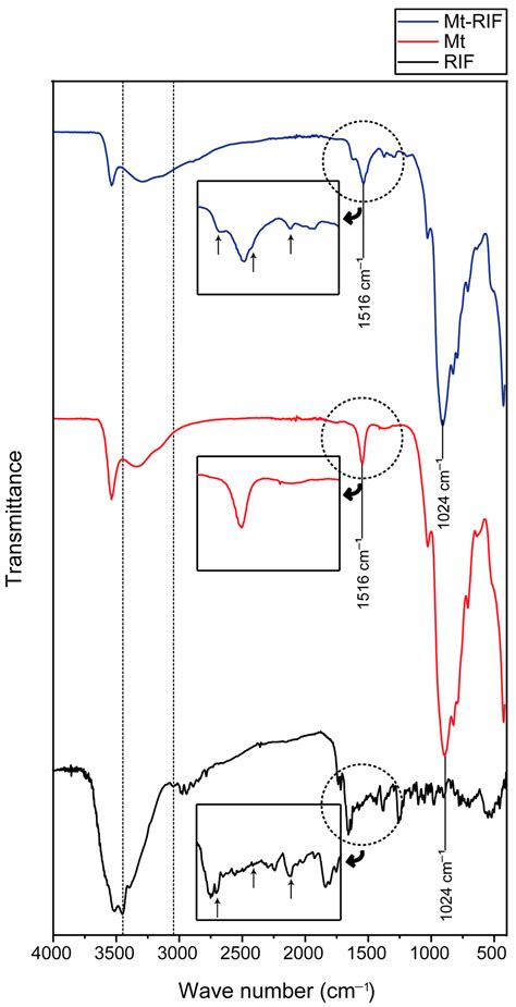 Montmorillonite–Rifampicin Nanohybrid for pH-Responsive Release of the ...