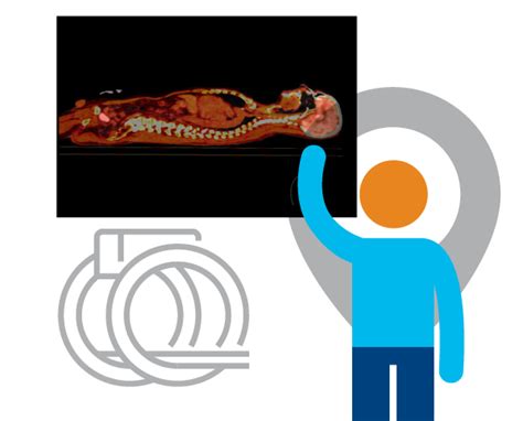 Image result for Open Pet Scan