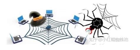 seo蜘蛛是什么，SEO必备——了解网络蜘蛛？_互联网营销师_火才教育