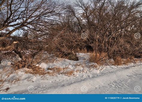 Oakwood Lakes State Park is in the State of South Dakota Near Brookings ...